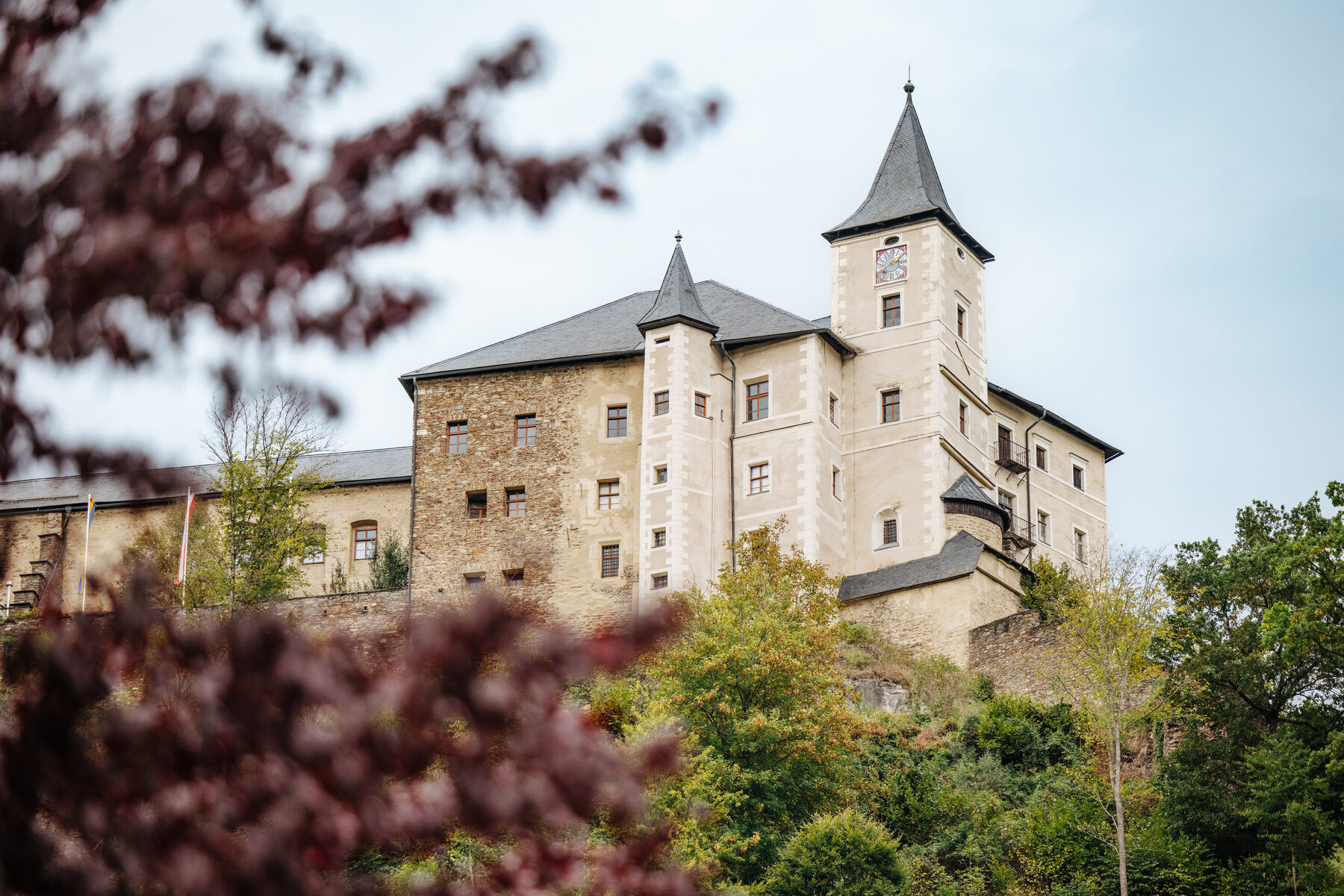 Burg Straßburg durch Bäume